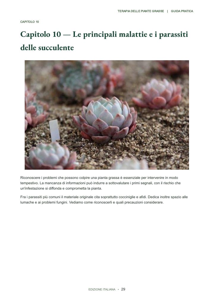 Pagina della guida: Capitolo 10 — Crescita e problemi comuni